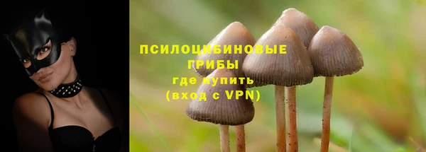 jwh Аркадак